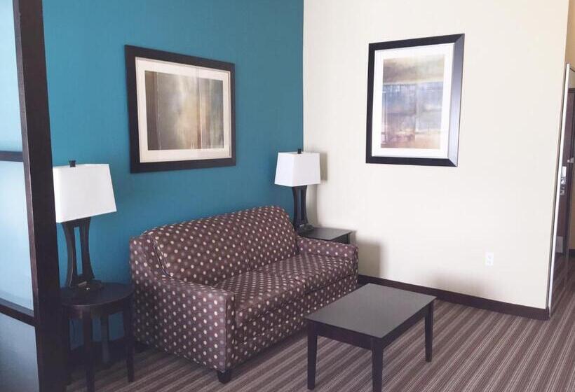 جناح سرير كينج, Best Western Plus Desoto Inn & Suites