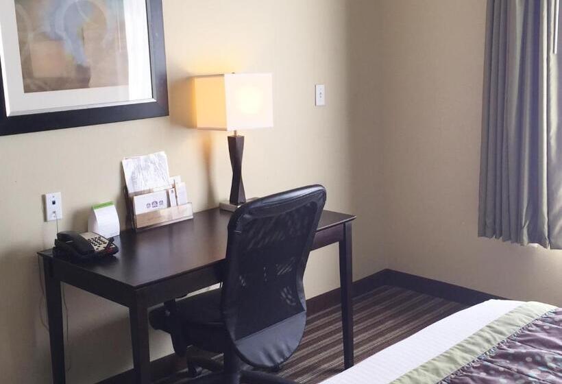 带大床的套房, Best Western Plus Desoto Inn & Suites