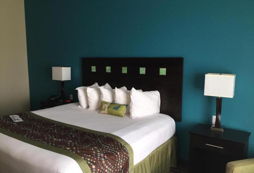 Номер Стандарт Кровать Кинг Адаптированный для Инвалидов, Best Western Plus Desoto Inn & Suites