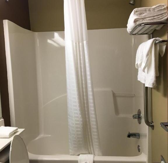 Студия Стандарт, Microtel By Wyndham Perry National Fairground Area I 75