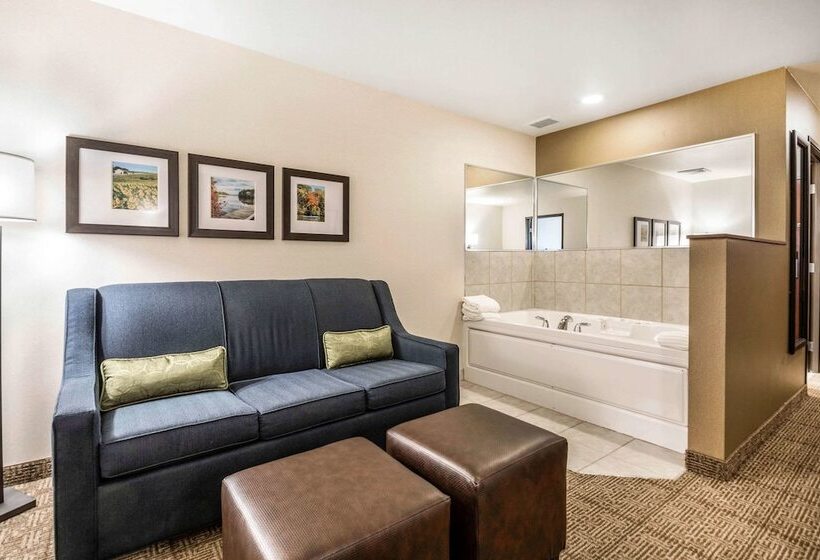 장애인을 위한 스위트, Comfort Suites At Par 4 Resort
