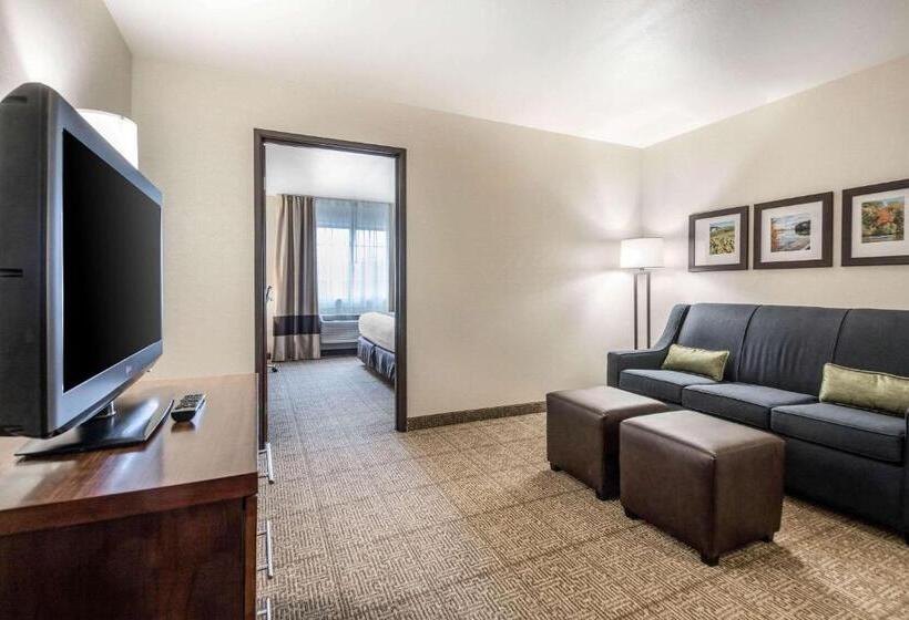 스위트 킹사이즈 침대, Comfort Suites At Par 4 Resort
