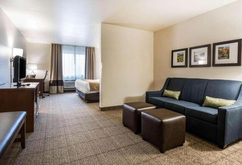 스위트 킹사이즈 침대, Comfort Suites At Par 4 Resort