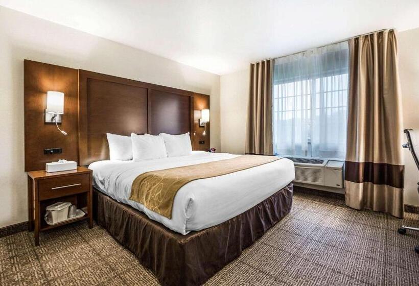 장애인을 위한 스위트, Comfort Suites At Par 4 Resort