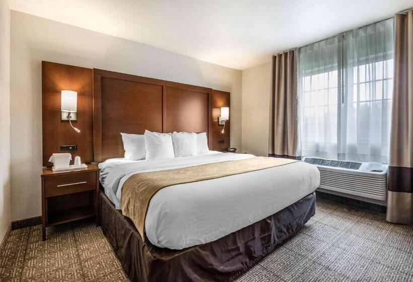 장애인을 위한 스위트, Comfort Suites At Par 4 Resort