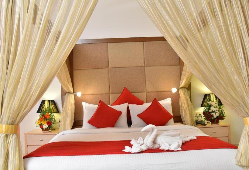 Номер Премиум, Seasons  Rajkot