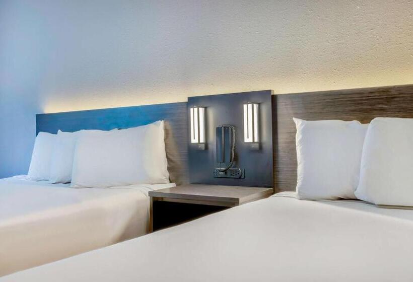 身障者適用スタンダードルーム, Motel 6 Bethel, Ct  Danbury