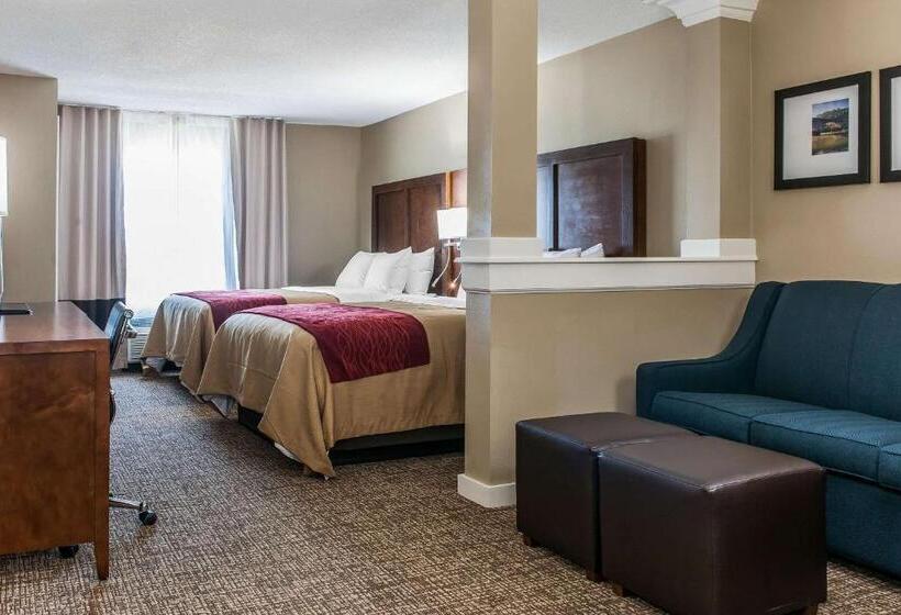 Люкс, Comfort Inn & Suites
