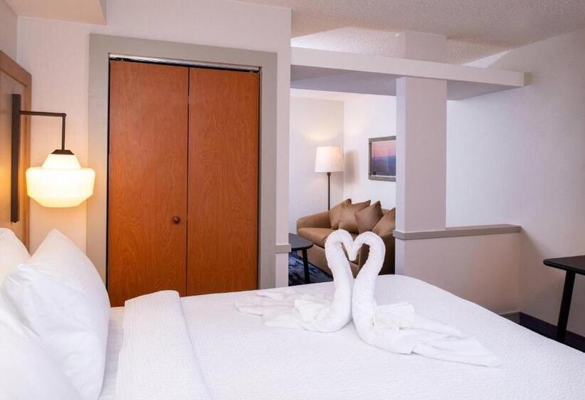 Люкс Кровать Кинг, Fairfield Inn & Suites High Point Archdale