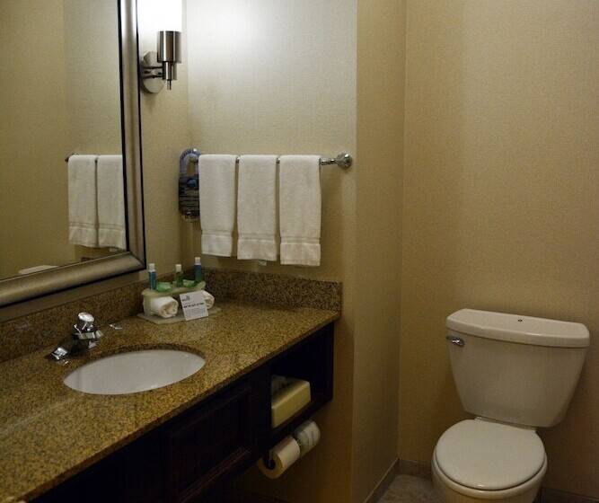 Люкс, Holiday Inn Express & Suites Youngstown West   Austintown By Ihg
