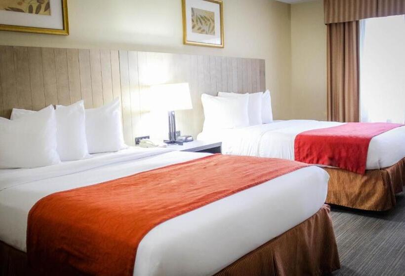 Номер Стандарт, Country Inn & Suites By Radisson, Chester, Va