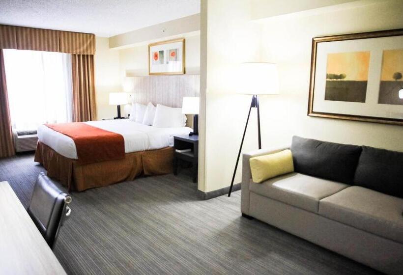 Люкс Кровать Кинг, Country Inn & Suites By Radisson, Chester, Va