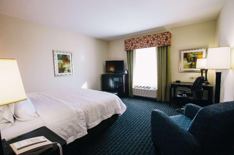스탠다드 룸 킹사이즈 침대, Hampton Inn & Suites Effingham