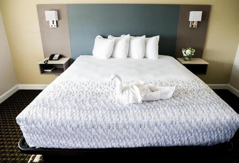 장애인을 위한 스탠다드 룸, Sea Breeze Inn   San Simeon