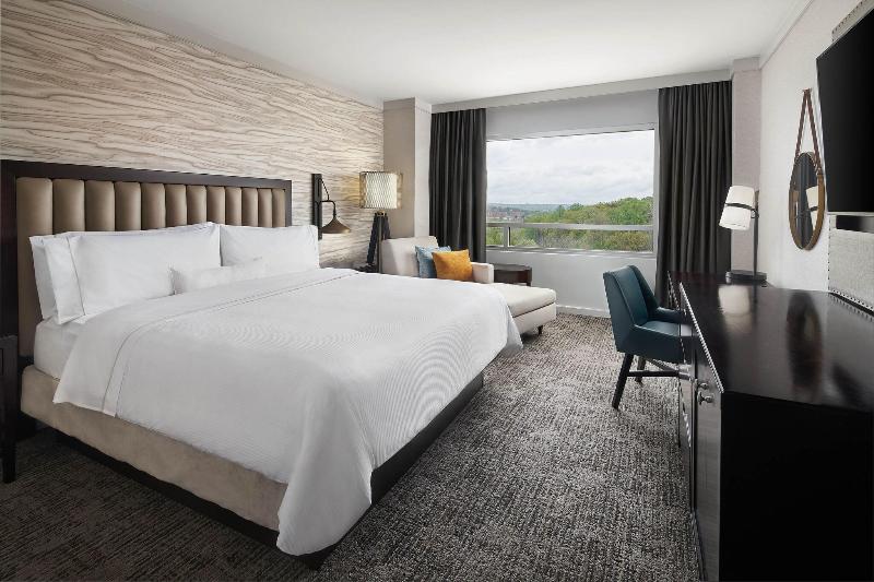 اتاق استاندارد با تخت بزرگ, The Westin Baltimore Washington Airport   Bwi