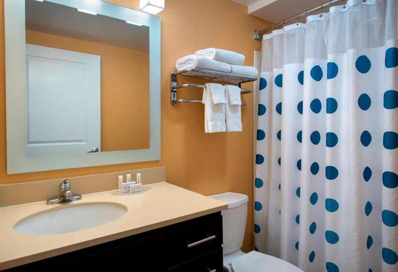 Студия Стандарт, Towneplace Suites Republic Airport Long Island Farmingdale