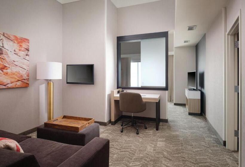 Люкс, Springhill Suites Minneapolisst. Paul Airport/mall Of America