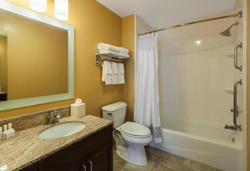 Люкс 2 Спальни, Towneplace Suites Jacksonville Butler Boulevard