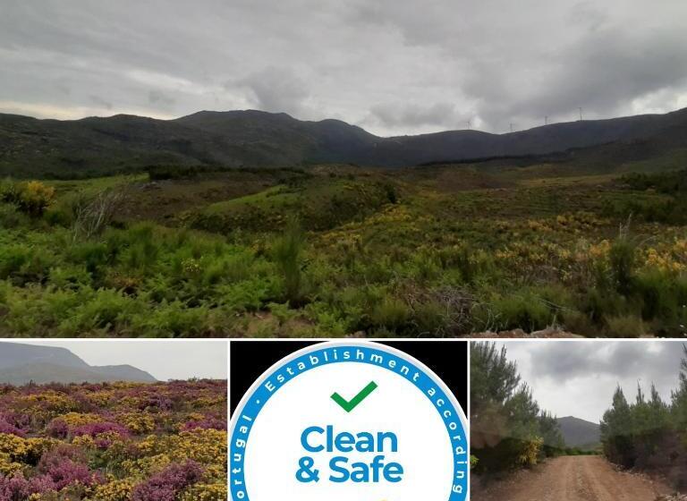 レイクビュースタンダードルーム, Pensão David, B&b