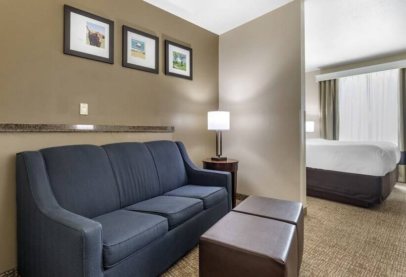 套房, Comfort Suites Waco North  Near University Area
