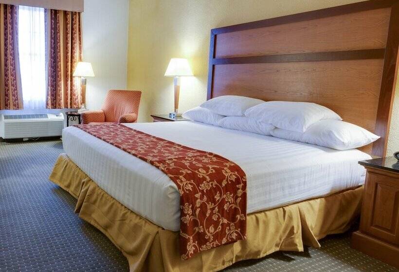 带露台的豪华间, Drury Inn & Suites San Antonio Near La Cantera