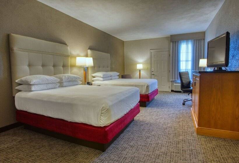 带观景的豪华间, Drury Inn & Suites San Antonio Near La Cantera