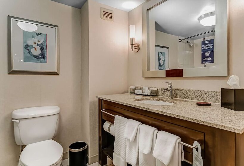 Люкс, Embassy Suites Atlanta   Kennesaw Town Center