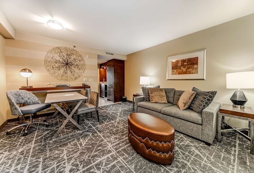 Люкс, Embassy Suites Atlanta   Kennesaw Town Center