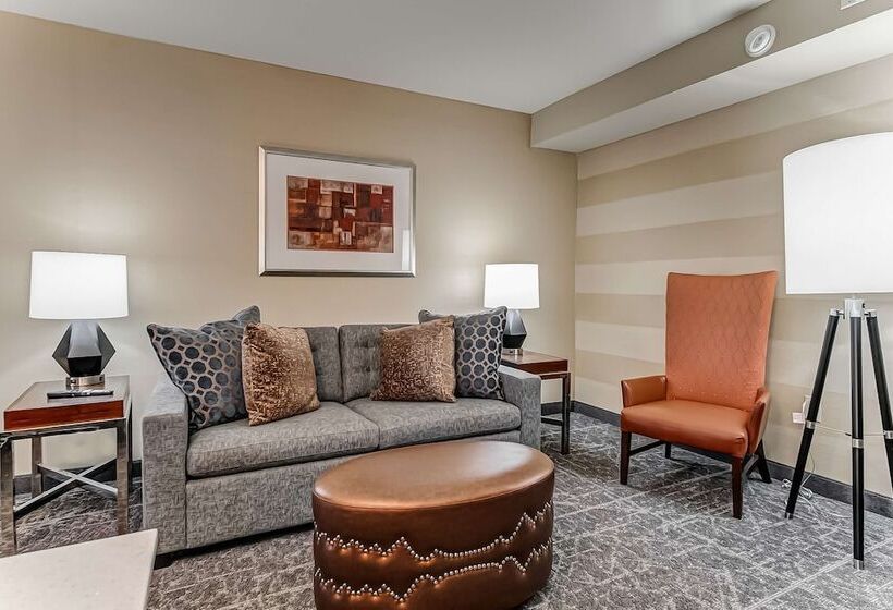 Люкс, Embassy Suites Atlanta   Kennesaw Town Center