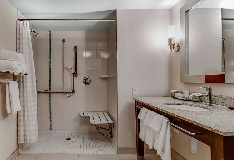 Люкс Адаптированный для Инвалидов, Embassy Suites Atlanta   Kennesaw Town Center