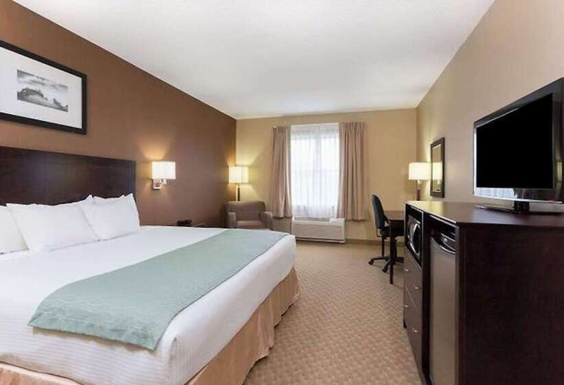 프리미엄 룸, Palm Coast Hotel & Suites I 95