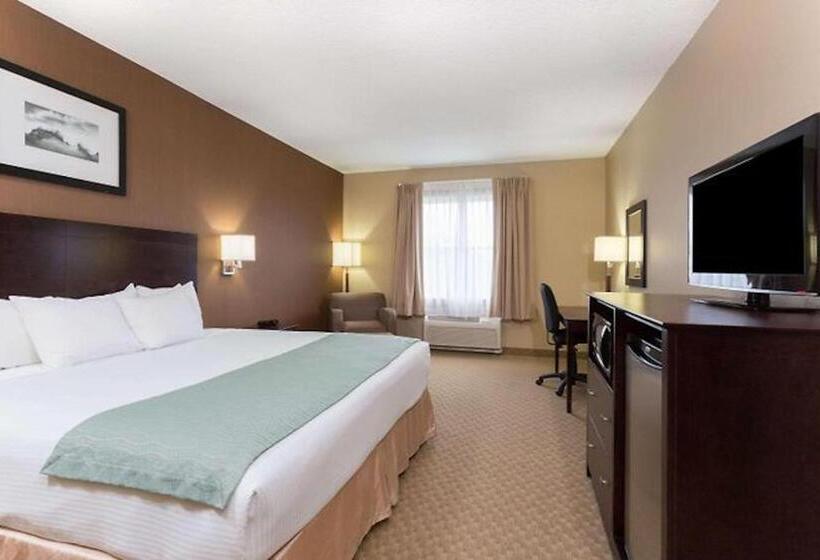장애인을 위한 퀸사이즈 스탠다드 룸, Palm Coast Hotel & Suites I 95