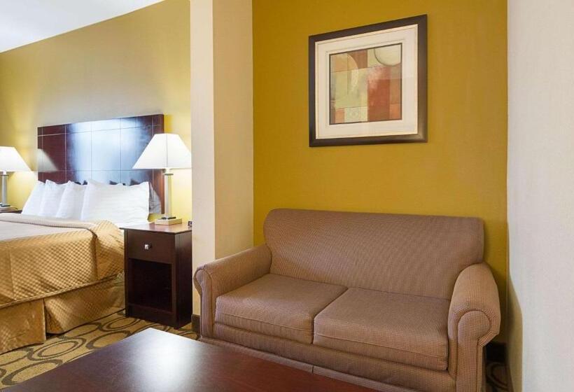 Стандартный Номер Кровать Кинг, Rodeway Inn & Suites