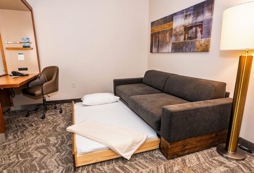 Люкс, Springhill Suites By Marriott San Antonio Alamo Plaza/convention Center