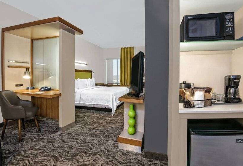 Номер Стандарт, Springhill Suites By Marriott San Antonio Seaworld®/lackland