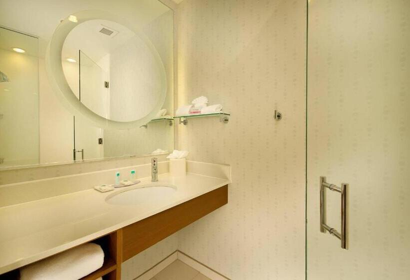 Студио Стандарт Кровать Кинг, Springhill Suites By Marriott San Antonio Seaworld®/lackland