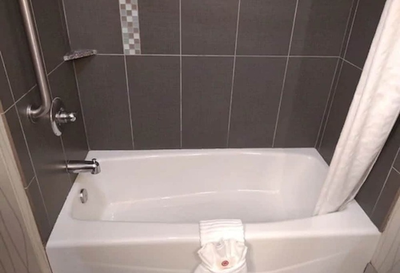 Люкс, Comfort Suites Greenville