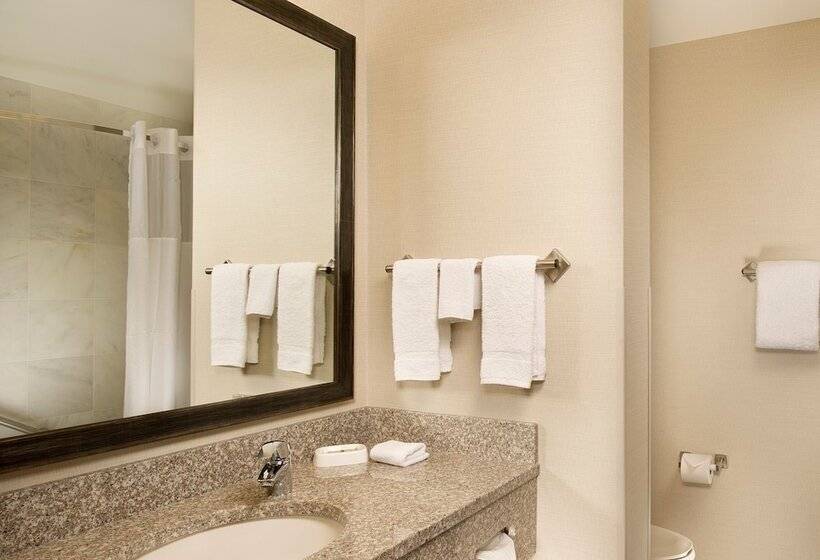 Номер Deluxe Адаптированный для Инвалидов, Drury Plaza Hotel Valdosta