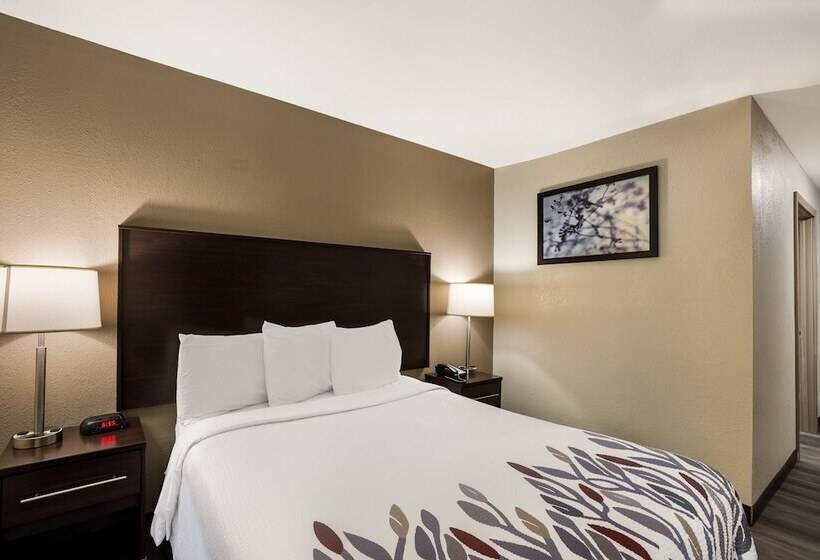 デラックスルーム, Red Roof Inn Allentown South