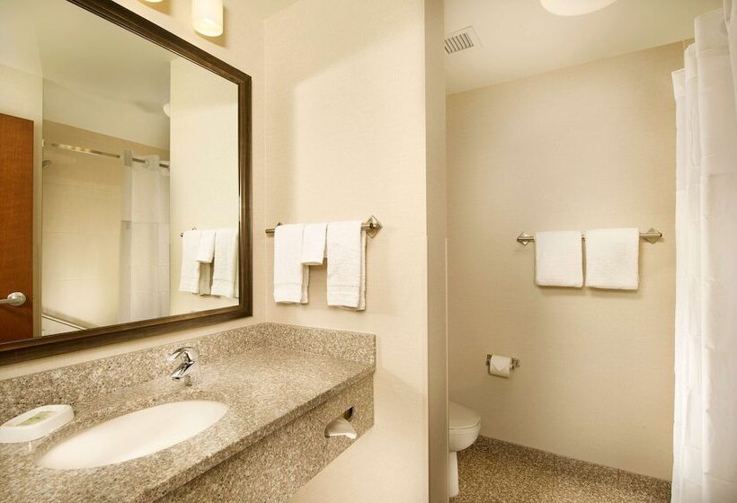 Люкс Адаптированный для Инвалидов, Drury Plaza Hotel Denver Westminster