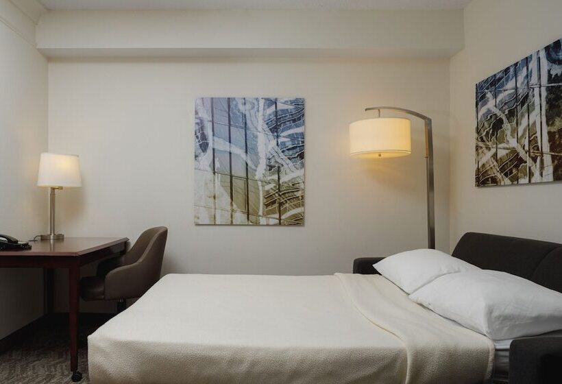 Люкс, Springhill Suites Knoxville At Turkey Creek