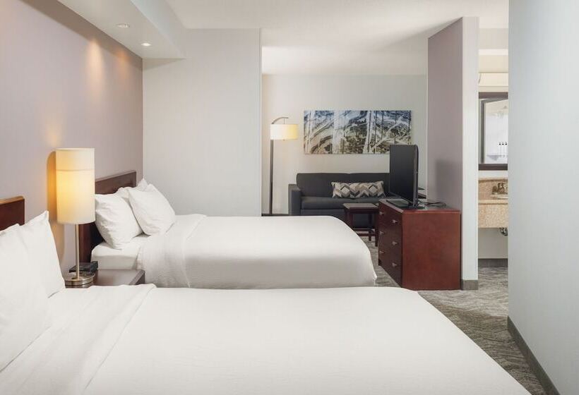 Люкс Адаптированный для Инвалидов, Springhill Suites Knoxville At Turkey Creek