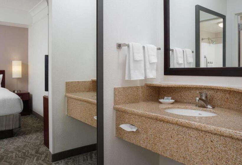 Люкс Кровать Кинг, Springhill Suites Knoxville At Turkey Creek