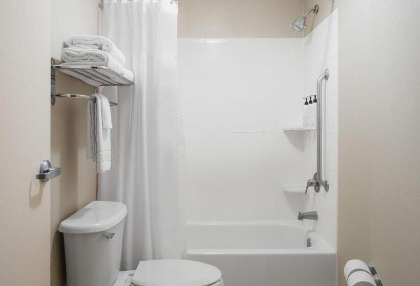 Студио Стандарт Кровать Кинг, Springhill Suites Knoxville At Turkey Creek