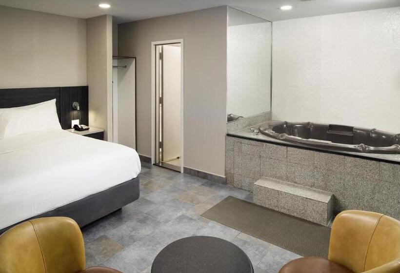 带大床的标准间, Skyview Motel