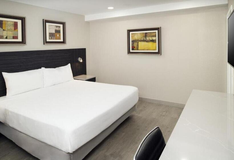 스탠다드 룸 킹사이즈 침대, Skyview Motel