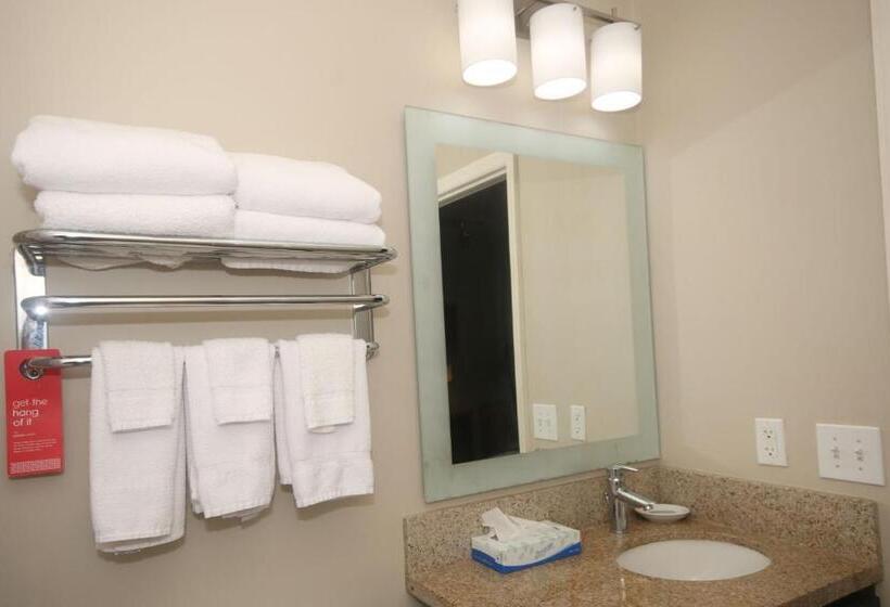 Люкс Кровать Кинг, Towneplace Suites By Marriott Aiken Whiskey Road