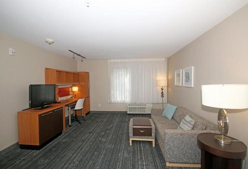 Люкс Кровать Кинг, Towneplace Suites By Marriott Aiken Whiskey Road