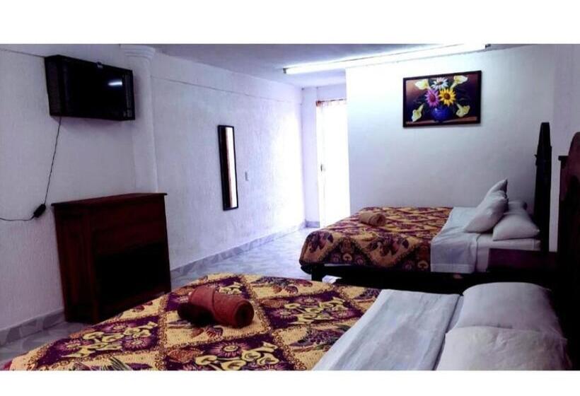 Chambre Standard, Alejandra