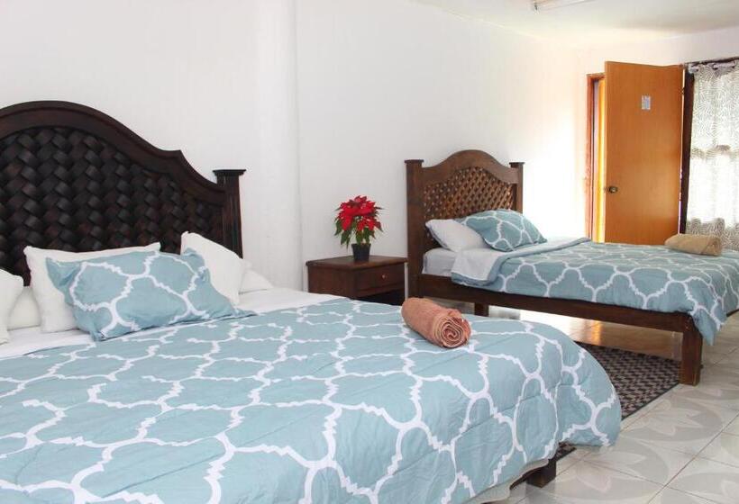 Chambre Quadruple Standard, Alejandra